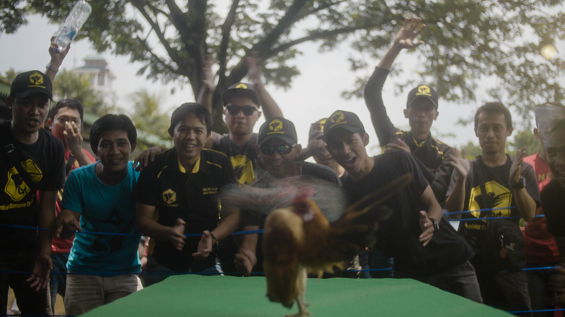 Discovery Channel Asia Pacific Enthusiastic chicken jockeys cheering on a champion chicken.